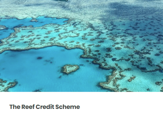 Reef credit scheme