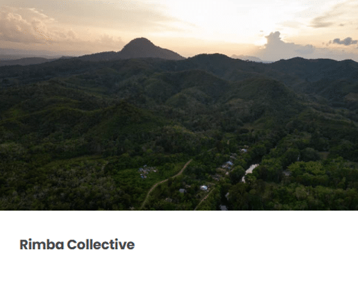 Rimba