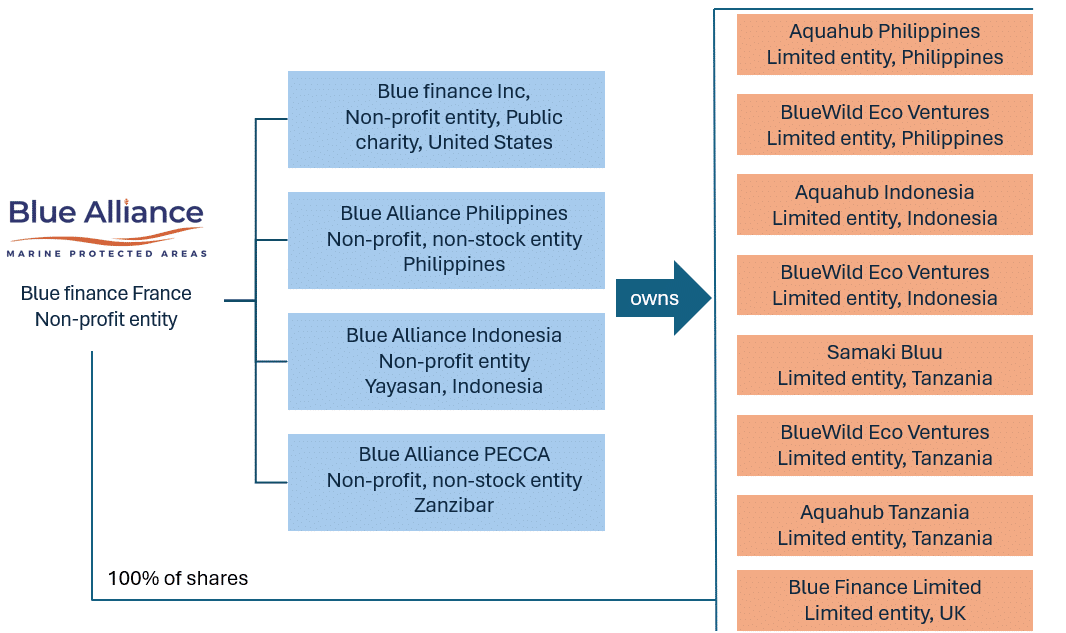 Blue Alliance strucutre v2